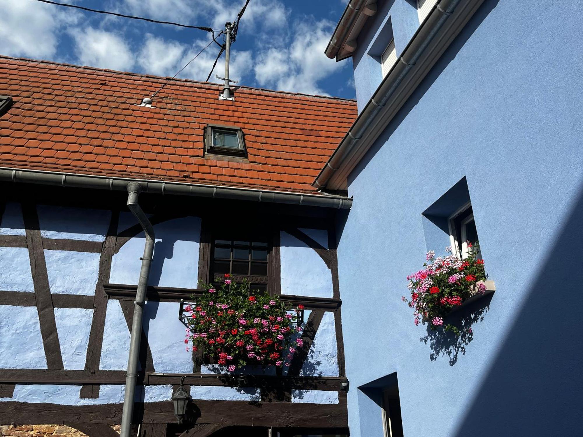 Les Chambres Du Marlenberg Marlenheim Eksteriør billede